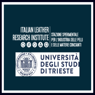 Ricerca: accordo tra la SSIP e l’Università di Trieste